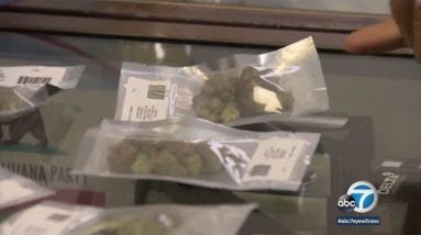 LAPD spells out principles for legalized marijuana