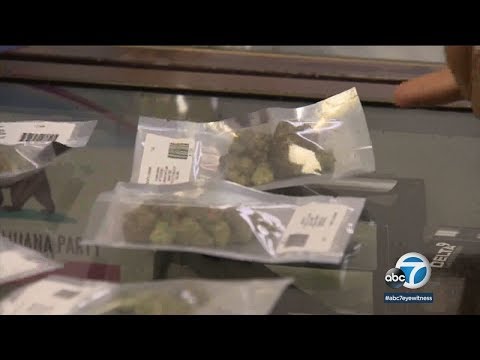 LAPD spells out principles for legalized marijuana
