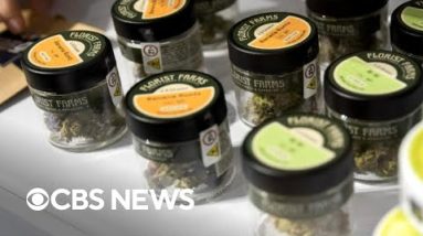 First staunch leisure marijuana dispensary in Unusual York opens