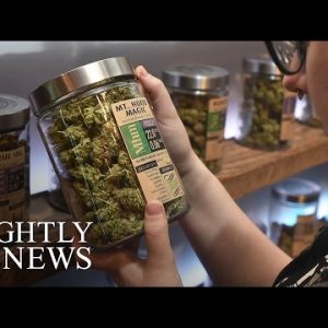 Marijuana Points On The PollIn Extra than one States On Election Day | NBC Nightly Info