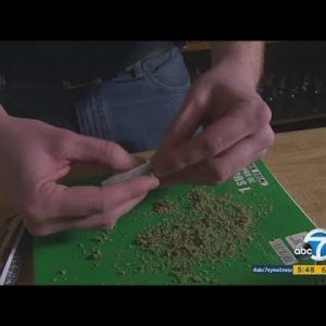 LAPD cracking down on unlicensed marijuana companies | ABC7