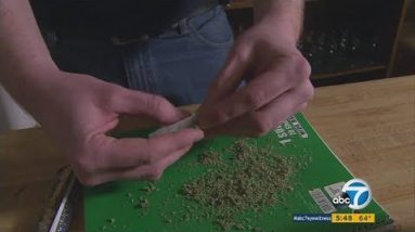 LAPD cracking down on unlicensed marijuana companies | ABC7