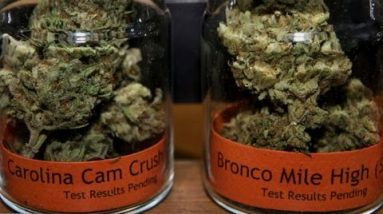 San Francisco marijuana shops sell Mountainous Bowl-themed pot