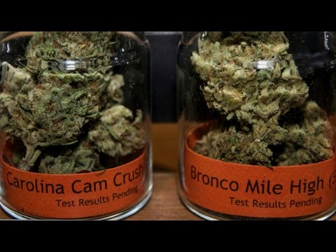 San Francisco marijuana shops sell Mountainous Bowl-themed pot