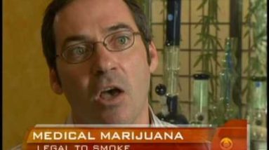 Marijuana: Steps to Legalization?