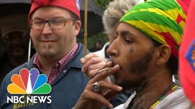 Supporters Of Perfect Marijuana Arrested At ‘Smoke-In’ On Capitol Grounds | NBC News
