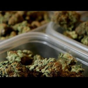 CBS Files poll shows solid enhance for legalizing marijuana