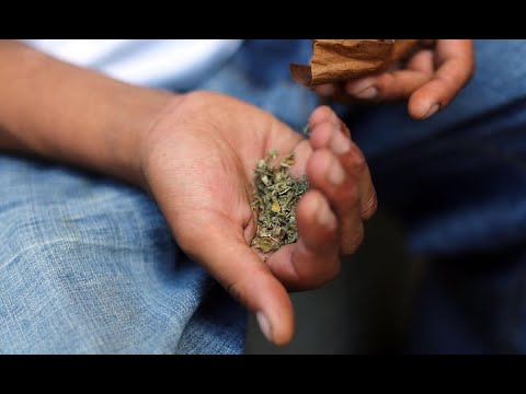 Artificial cannabis blamed for extreme bleeding