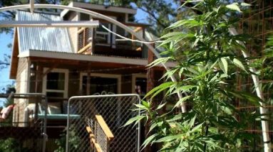 California Airbnb offers “Bud and Breakfast” with marijuana garden