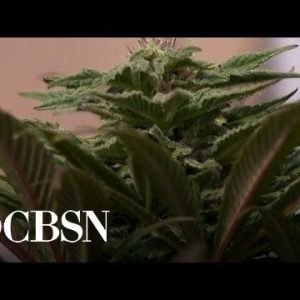 Proposed bill would decriminalize marijuana at federal level