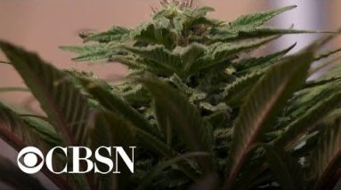 Proposed bill would decriminalize marijuana at federal level