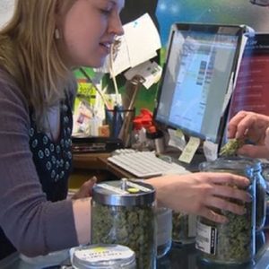 Denver holds first ever marijuana jobs radiant