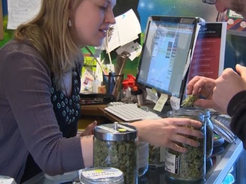 Denver holds first ever marijuana jobs radiant